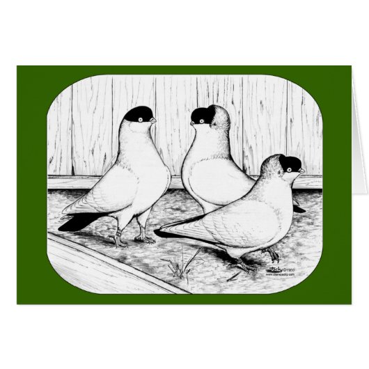 Helmet Pigeon Trio Cards (Front Horizontal)