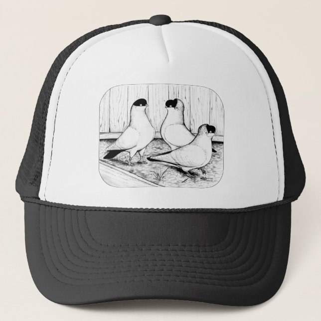 Helmet Pigeon Trio Trucker Hat (Front)