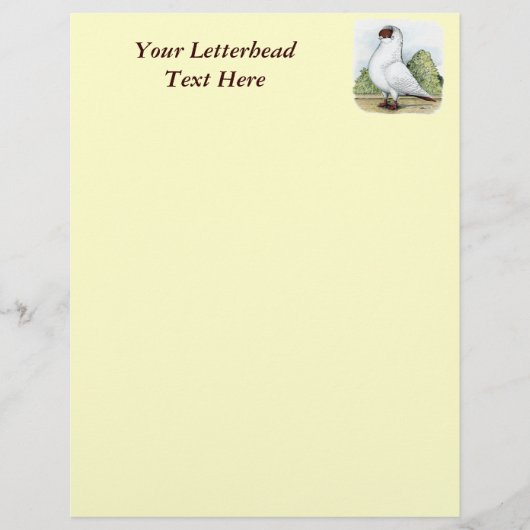 Helmet:  Red Pigeon (Front)