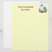 Helmet:  Red Pigeon (Front/Back)