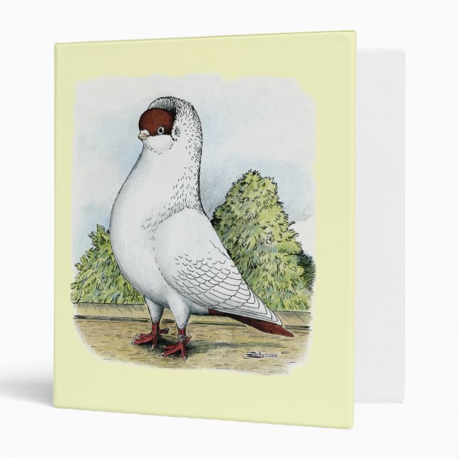 Helmet:  Red Pigeon Binder (Front/Inside)