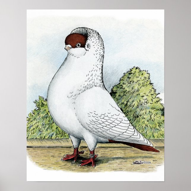 Helmet:  Red Pigeon Poster (Front)