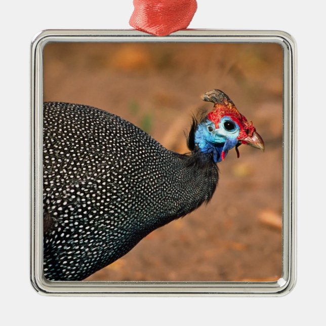 Helmeted Guinea Fowl (Numida meleagris). Africa, Metal Ornament (Front)