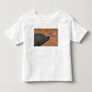 Helmeted Guinea Fowl (Numida meleagris). Africa, Toddler T-shirt