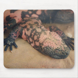Heloderma suspectum mouse pad