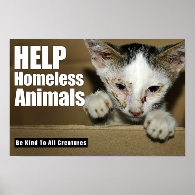 Help Homeless Animal Poster (Front)