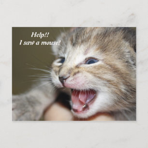 Help!! I saw a mouse! Postcard