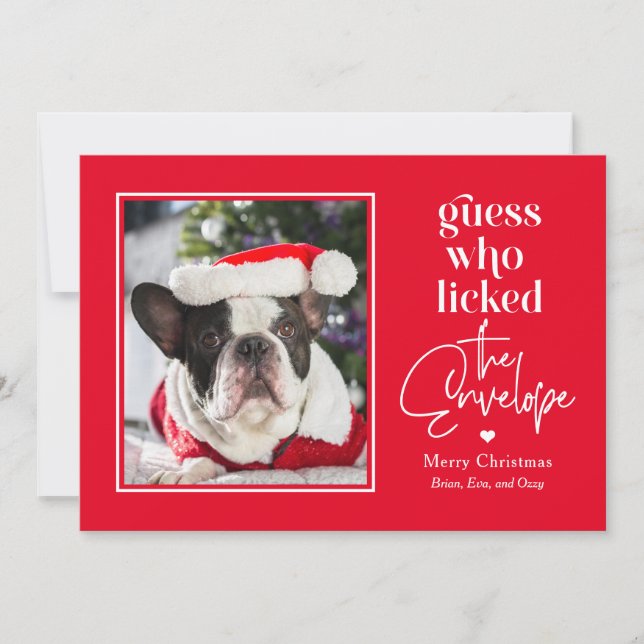 Helpful Pet EDITABLE COLOR Christmas Holiday Card (Front)