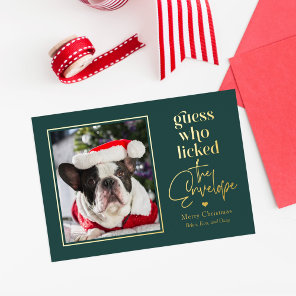 Helpful Pet Foil Holiday Card Christmas Card