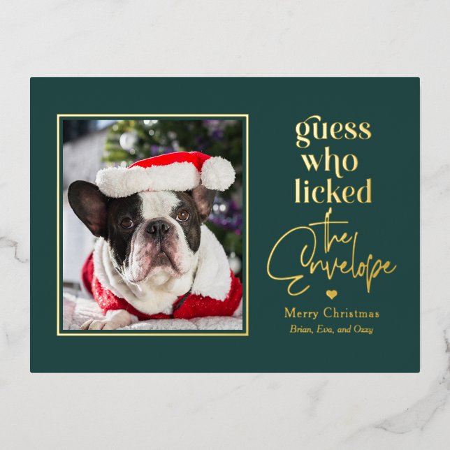 Helpful Pet Foil Holiday Postcard Christmas Card (Front)