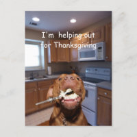 Helpful Thanksgiving dog