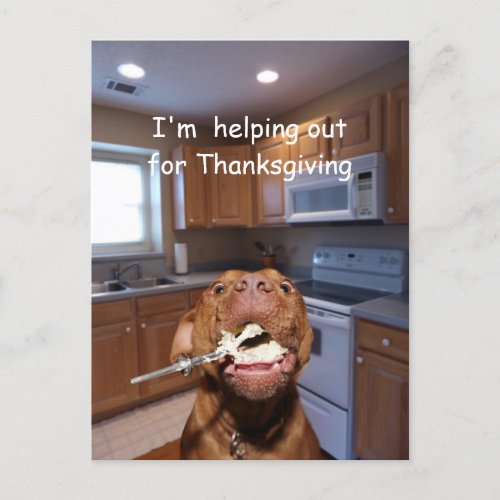 Helpful Thanksgiving dog Holiday Postcard