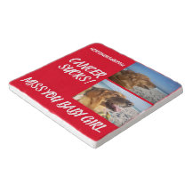 Hemangiosarcoma Cancer Sucks - Grieving Pet Loss