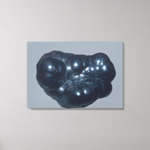 Hematite is an iron ore canvas print