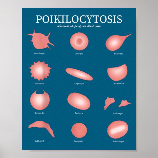 Hematology Red Blood Cell Laboratory Science Hemat Poster (Front)