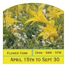 HEMEROCALLIS - "Citrina" - Sign