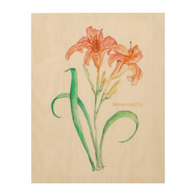 Hemerocallis (Day Lily) Wood Wall Art (Front)