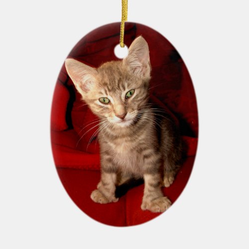 Hemingway Cat Ceramic Ornament