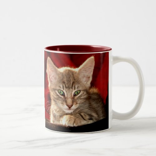 Hemingway Kitten Two_Tone Coffee Mug