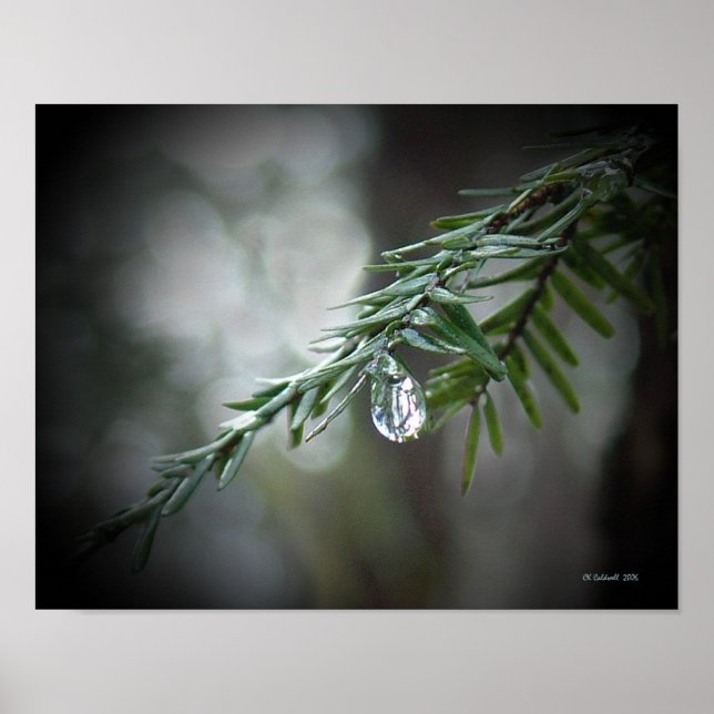 Hemlock Tears Poster (Front)