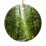 Hemlock Trail at Laurel Hill State Park I Ceramic Ornament