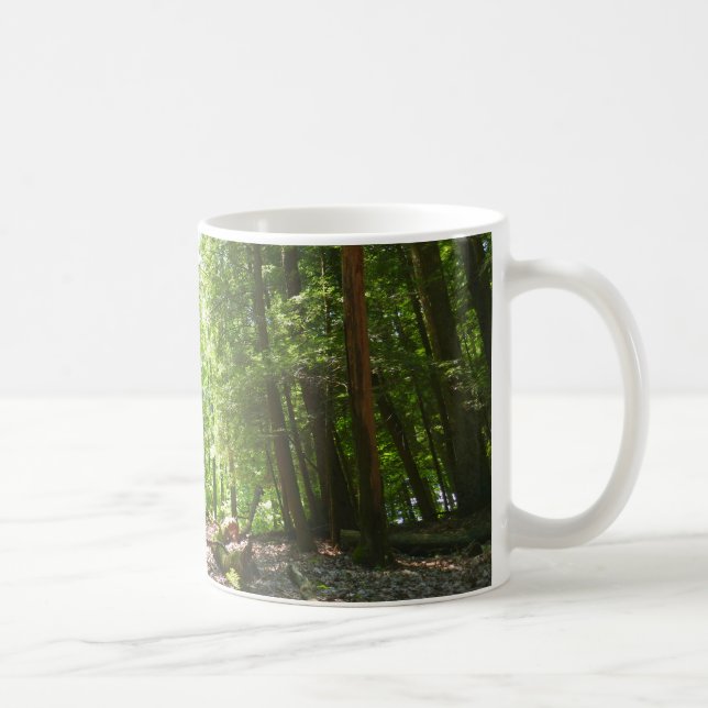 Hemlock Trail at Laurel Hill State Park I Coffee Mug (Right)