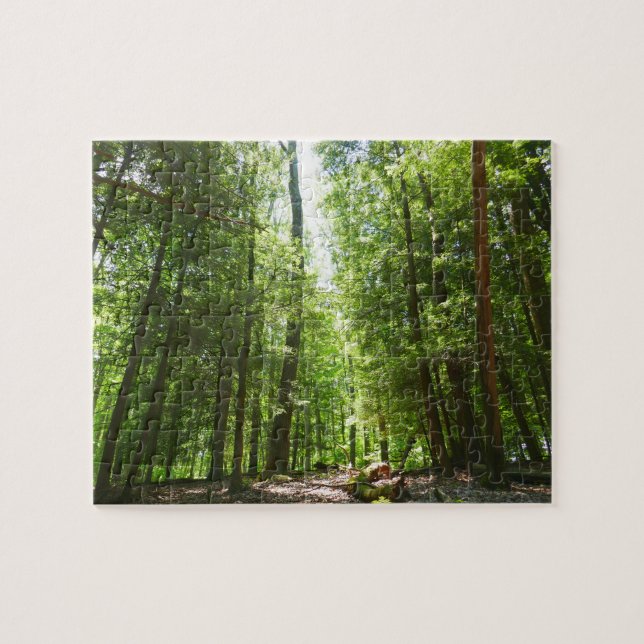 Hemlock Trail at Laurel Hill State Park I Jigsaw Puzzle (Horizontal)