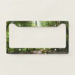 Hemlock Trail at Laurel Hill State Park I License Plate Frame