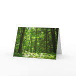 Hemlock Trail at Laurel Hill State Park II Card