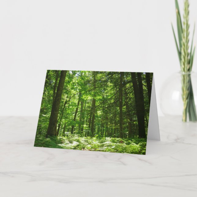 Hemlock Trail at Laurel Hill State Park II Card (Front)