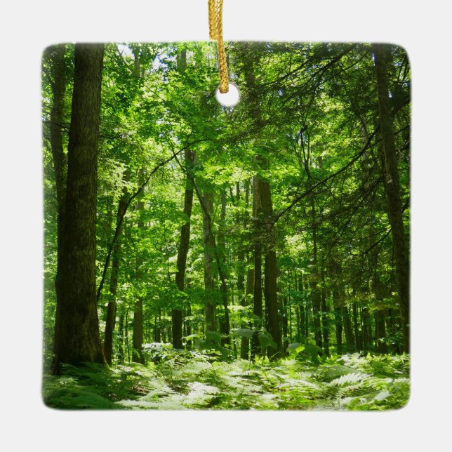Hemlock Trail at Laurel Hill State Park II Ceramic Ornament (Front)