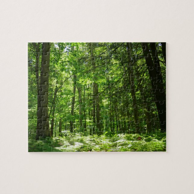 Hemlock Trail at Laurel Hill State Park II Jigsaw Puzzle (Horizontal)