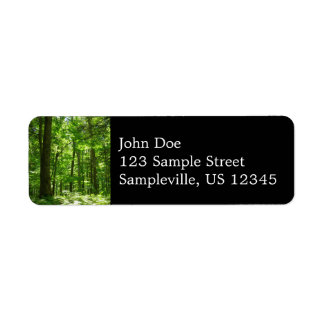 Hemlock Trail at Laurel Hill State Park II Label