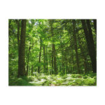 Hemlock Trail at Laurel Hill State Park II Postcard