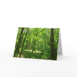 Hemlock Trail at Laurel Hill State Park III Card