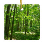 Hemlock Trail at Laurel Hill State Park III Ceramic Ornament