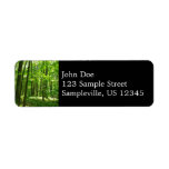 Hemlock Trail at Laurel Hill State Park III Label