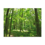 Hemlock Trail at Laurel Hill State Park III Postcard