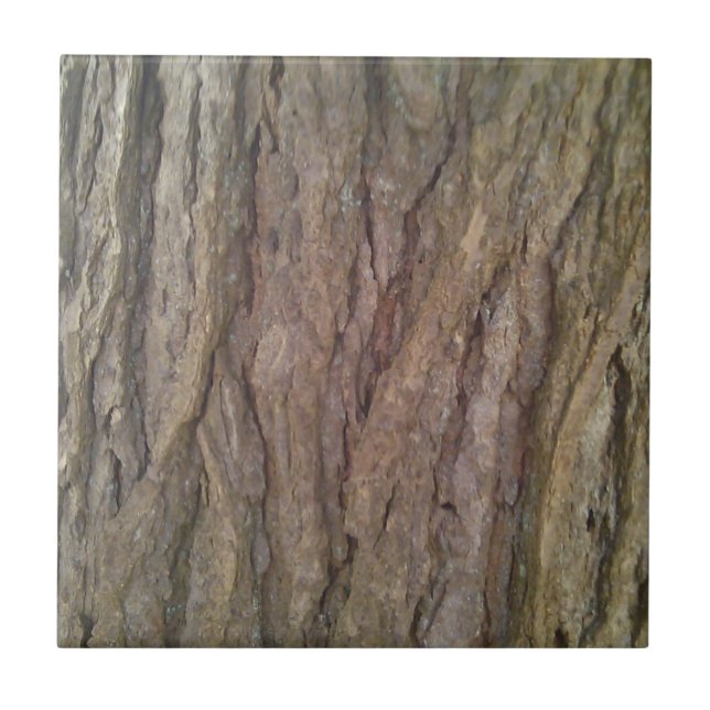 Hemlock Tree Bark Tile (Front)
