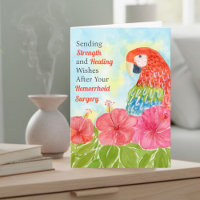 Hemorrhoid Healing Scarlet Macaws, Hibiscus