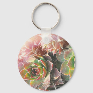 Hen and Chick Plants, Succulents, Plant Photograph Keychain