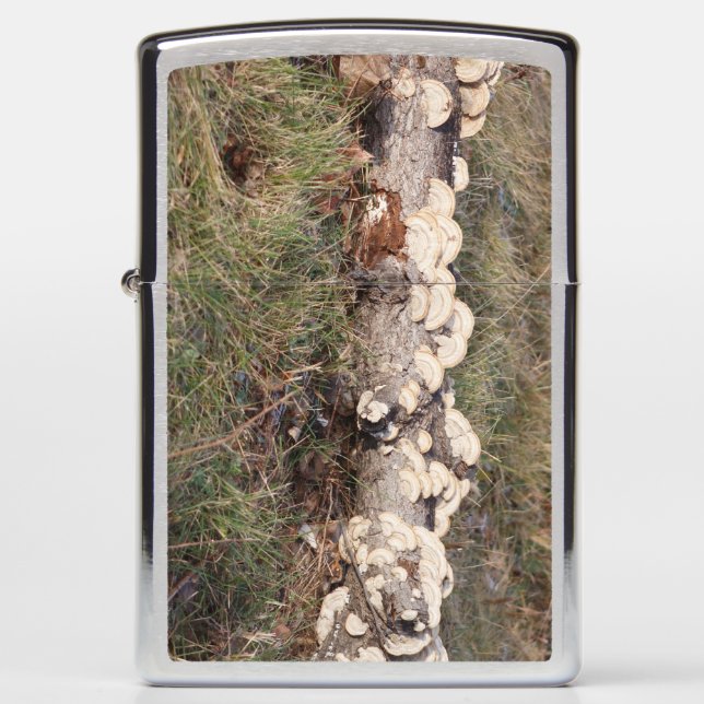 Hen And Chickens Zippo Lighter (Front)