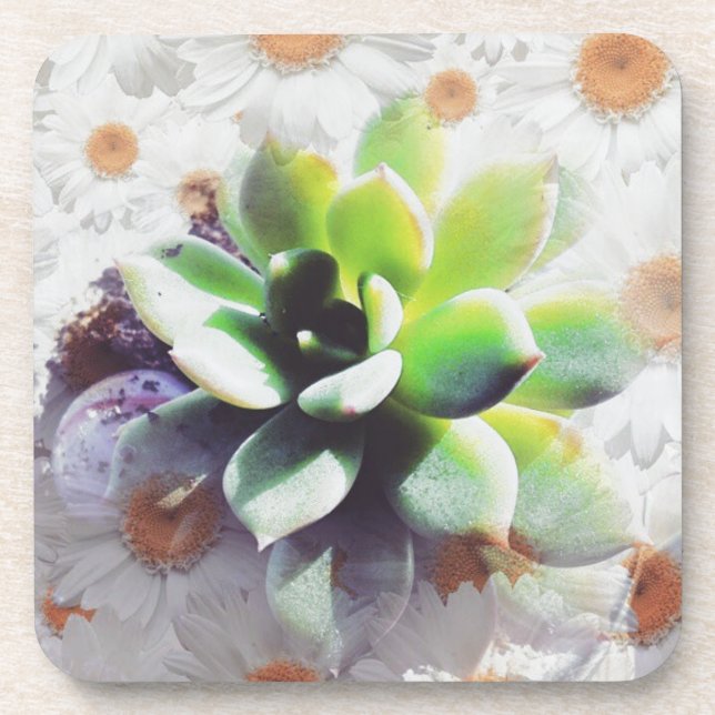 Hen and Chicks and Daisies Beverage Coaster (Front)