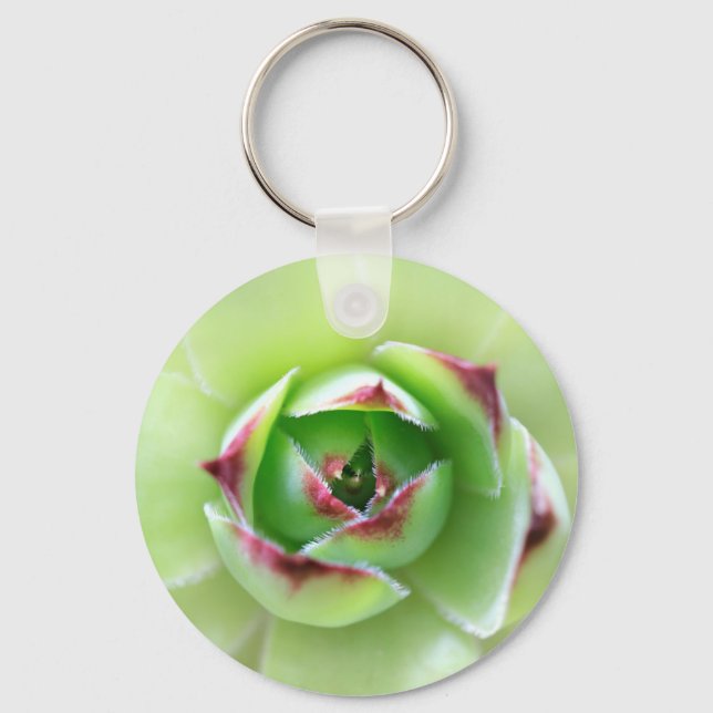 Hen and Chicks Beautiful Succulent Flower Plant Keychain (Front)