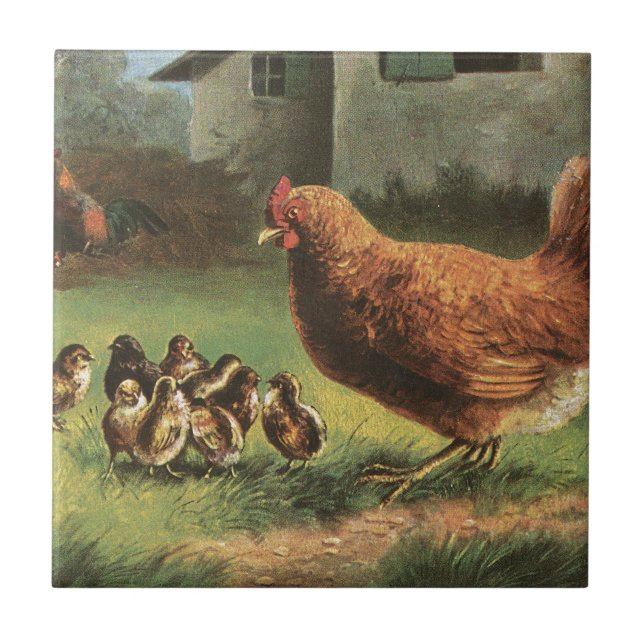 Hen and Chicks Ceramic Tile (Front)