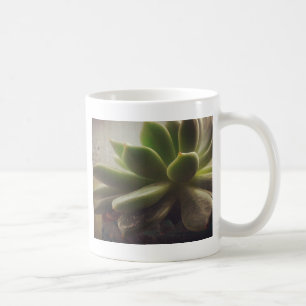 Hen and Chicks plant Coffee Mug