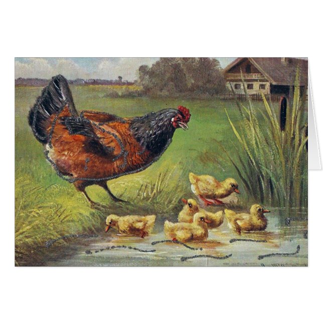 Hen and Ducklings Cards (Front Horizontal)