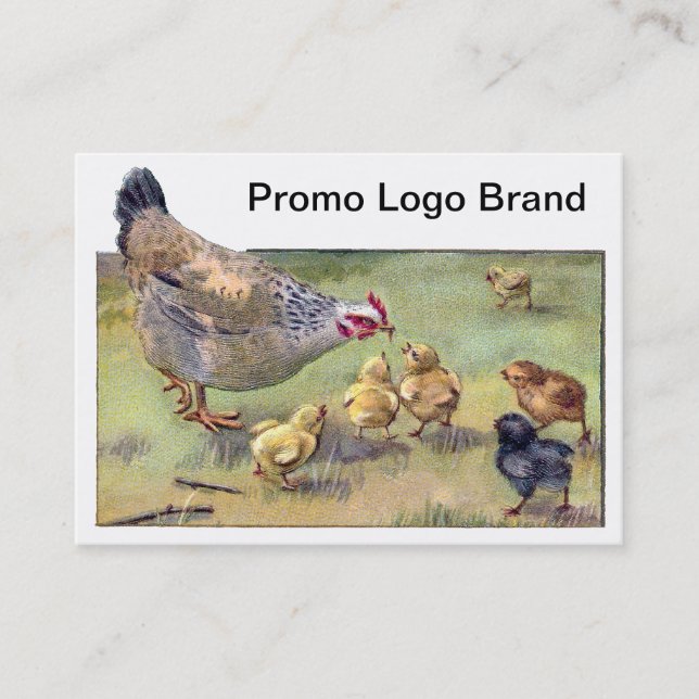Hen and Hungry Chicks Business Card (Front)