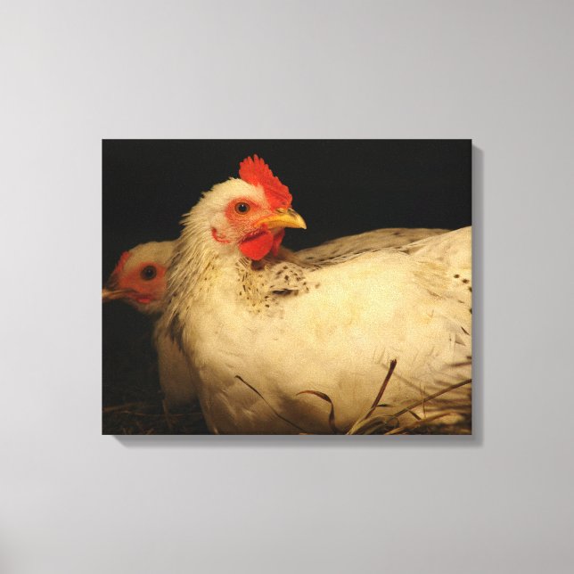 Hen and Rooster Canvas Print (Front)