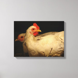 Hen and Rooster Canvas Print